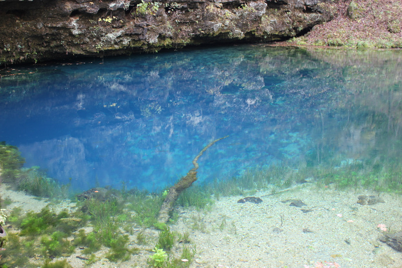 There’s a reason it’s called Blue Spring. | John Drake Robinson